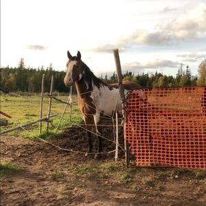 Meet your Posher, Heidi